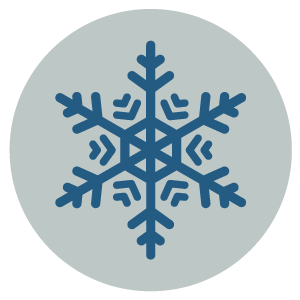 A blue snowflake icon centered on a light gray circular background.