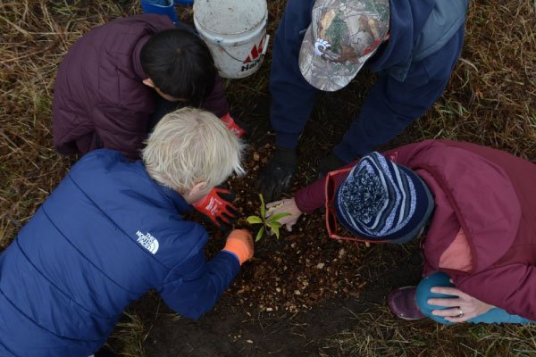 Four people in jackets and gloves are gathered closely together, planting a small seedling in the ground. Some buckets and soil are visible, suggesting a group gardening or reforestation activity.