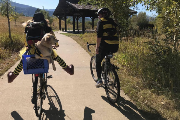 Two people dressed as bees ride bicycles on a sunny path, with one carrying a dog in a basket. The dog also wears a bee costume. Trees and a wooden gazebo are visible in the background.