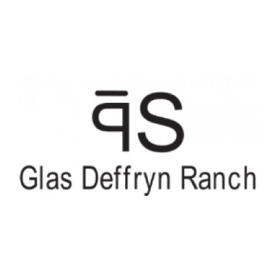Western-Resilience-Center-sponsor-glas-deffryn-ranch Black text logo with stylized letters "gS" above the words "Glas Deffryn Ranch" on a white background.