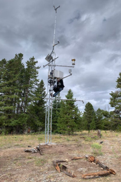A person wearing black gear works on a tall metal weather station tower in a clearing surrounded by pine trees, under a cloudy sky.