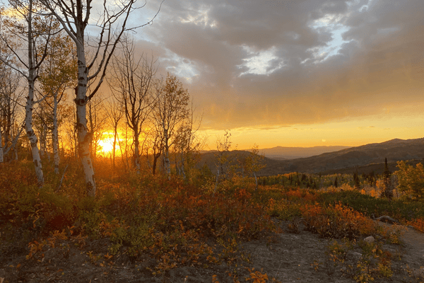 Landscape photo of a mountain and trees showing fall colors at sunset.