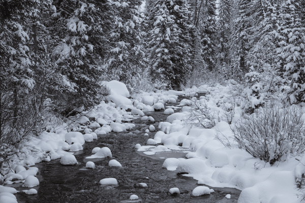 Landscape image of a river covered with snow.