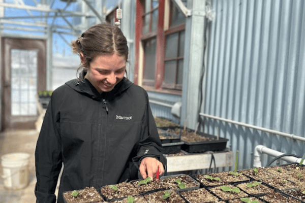 Image of a woman looking at seedlings growing.