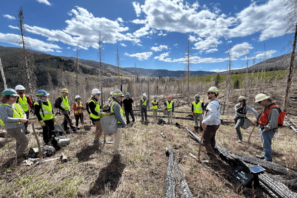 Image of a group of people standing in a burn scar with yellow vests.