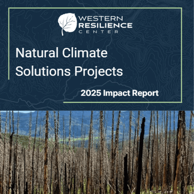 Cover of Natural Climate Solutions Projects 2025 Impact Report.